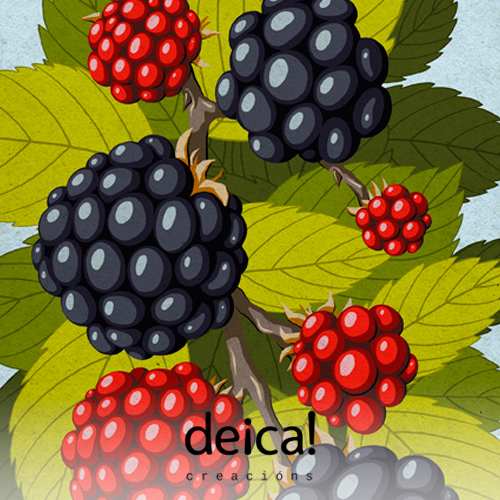 produtos-coa-ilustracion-moras