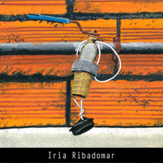 Máis obra de Iria Ribadomar