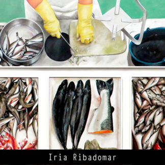 Obra orixinal de Iria Ribadomar